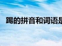 踢的拼音和词语是什么（踢的拼音是什么）