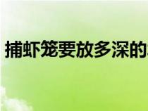 捕虾笼要放多深的水（捕虾笼里放什么诱饵）
