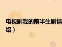 电视剧我的前半生剧情介绍全集（电视剧我的前半生剧情介绍）