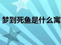 梦到死鱼是什么寓意（梦到死鱼是什么预兆）