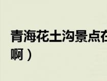 青海花土沟景点在哪（花土沟在青海什么地方啊）
