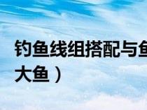 钓鱼线组搭配与鱼的重量（钓鱼线组搭配钓多大鱼）