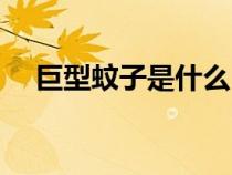 巨型蚊子是什么（巨型蚊子会不会咬人）