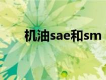 机油sae和sm（机油sae是什么意思）