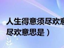 人生得意须尽欢意思是什么意思（人生得意须尽欢意思是）