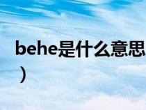 behe是什么意思网络语（be和he是什么意思）