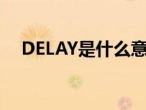 DELAY是什么意思（deLay是什么意思）