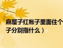 麻屋子红帐子里面住个白胖子打一果实（麻屋子红帐子白胖子分别指什么）