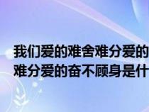 我们爱的难舍难分爱的奋不顾身什么歌歌词（我们爱的难舍难分爱的奋不顾身是什么歌）