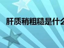肝质稍粗糙是什么意思（粗糙是什么意思）