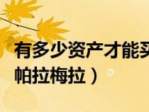 有多少资产才能买帕拉梅拉（多少资产可以开帕拉梅拉）