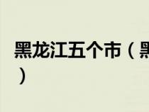 黑龙江五个市（黑龙江省会及五大城市分别是）