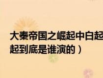 大秦帝国之崛起中白起的演员（大秦帝国之崛起里的战神白起到底是谁演的）