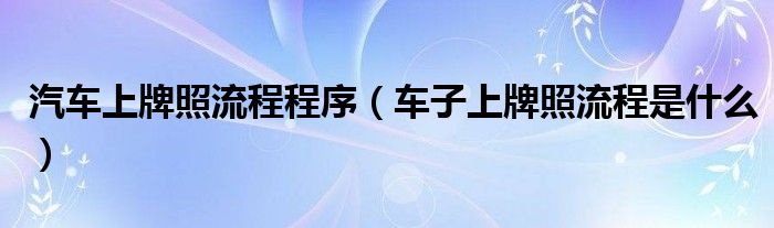 汽车上牌照流程程序（车子上牌照流程是什么）