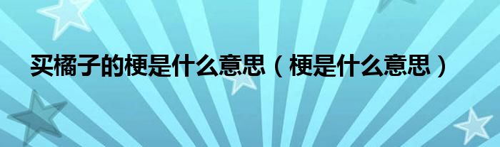 买橘子的梗是什么意思（梗是什么意思）