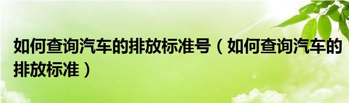 如何查询汽车的排放标准号（如何查询汽车的排放标准）
