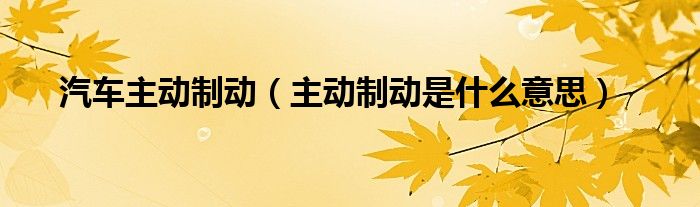汽车主动制动（主动制动是什么意思）