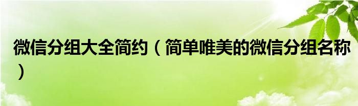 微信分组大全简约（简单唯美的微信分组名称）
