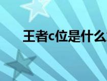 王者c位是什么意思（c位是什么意思）