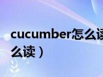 cucumber怎么读音发音英语(cucumber怎么读) cucumber怎么读音发音英语(cucumber怎么读)