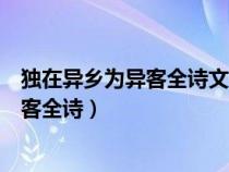 独在异乡为异客全诗文中的茱萸是什么植物（独在异乡为异客全诗）