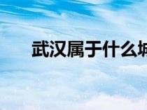 武汉属于什么城市圈（武汉是什么城）