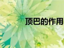 顶巴的作用（顶吧作用是什么）