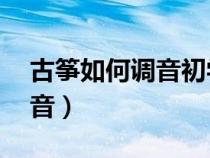 古筝如何调音初学者必读 袁莎（古筝如何调音）