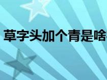 草字头加个青是啥字（草字头加青是什么字）
