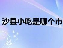 沙县小吃是哪个市的（沙县小吃是哪个省的）