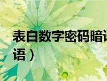 表白数字密码暗语6个数字（表白数字密码暗语）