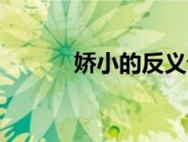 娇小的反义词（得意的反义词）