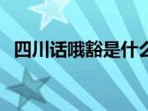 四川话哦豁是什么意思（哦豁是什么意思）