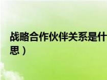 战略合作伙伴关系是什么关系（战略合作伙伴关系是什么意思）