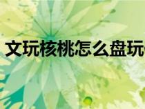 文玩核桃怎么盘玩保养（文玩核桃怎么盘玩）