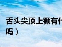 舌头尖顶上颚有什么用（舌尖顶上颚能变漂亮吗）