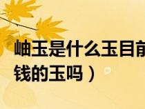 岫玉是什么玉目前价格是多少（岫玉是最不值钱的玉吗）