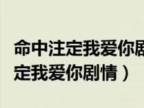 命中注定我爱你剧情分集介绍泰国版（命中注定我爱你剧情）