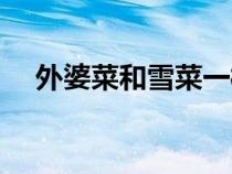 外婆菜和雪菜一样么（外婆菜是什么菜）
