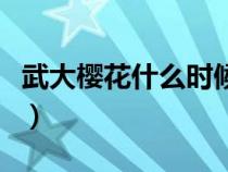 武大樱花什么时候开园（武大樱花什么时候开）