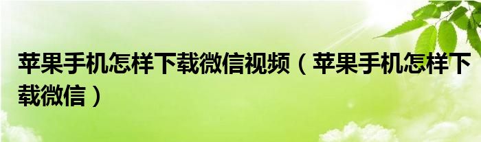 苹果手机怎样下载微信视频（苹果手机怎样下载微信）