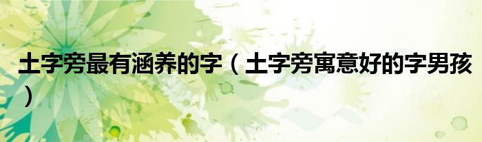 土字旁最有涵养的字（土字旁寓意好的字男孩）