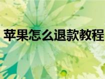 苹果怎么退款教程（苹果怎么退款退款方法）
