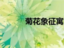 菊花象征寓意（菊花象征含义）