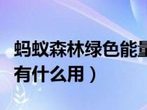 蚂蚁森林绿色能量哪里来（蚂蚁森林绿色能量有什么用）