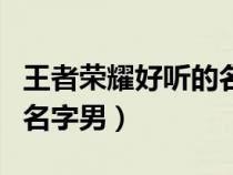 王者荣耀好听的名字男伤感（王者荣耀好听的名字男）
