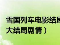 雪国列车电影结局什么意思（电影雪国列车的大结局剧情）