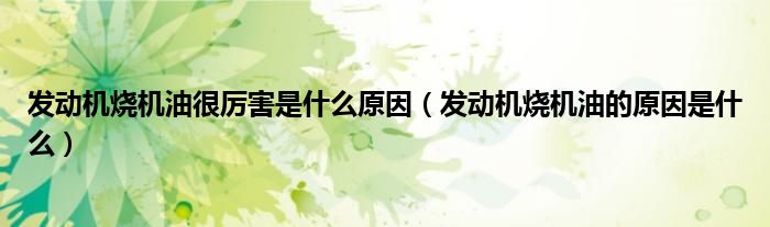 发动机烧机油很厉害是什么原因（发动机烧机油的原因是什么）