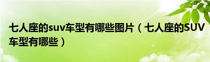 七人座的suv车型有哪些图片（七人座的SUV车型有哪些）