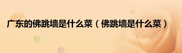 广东的佛跳墙是什么菜（佛跳墙是什么菜）